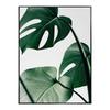 Monstera Leaf Green Plant Poster Animal Lion Leopard Horse Photos Nordic Decorative Paintings Canvas Wall Art Picture Home Decor