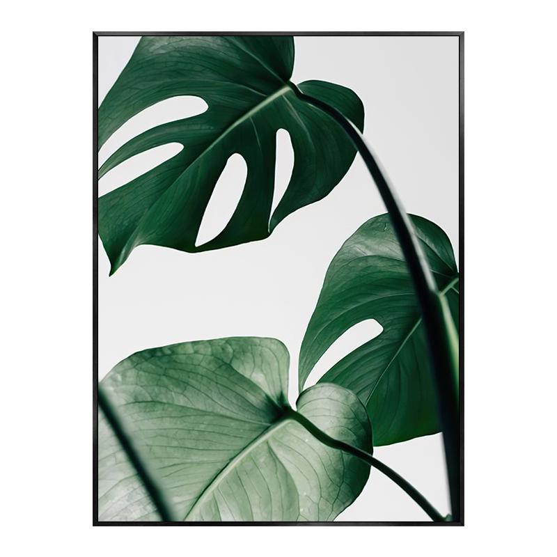 Monstera Leaf Green Plant Poster Animal Lion Leopard Horse Photos Nordic Decorative Paintings Canvas Wall Art Picture Home Decor