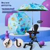 Accesorii – Umbrele