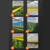Yellow Insect Proof Tape 5/10M Crawling Insect Trap Prevents Insects Insect Barrier Tape  Gardens