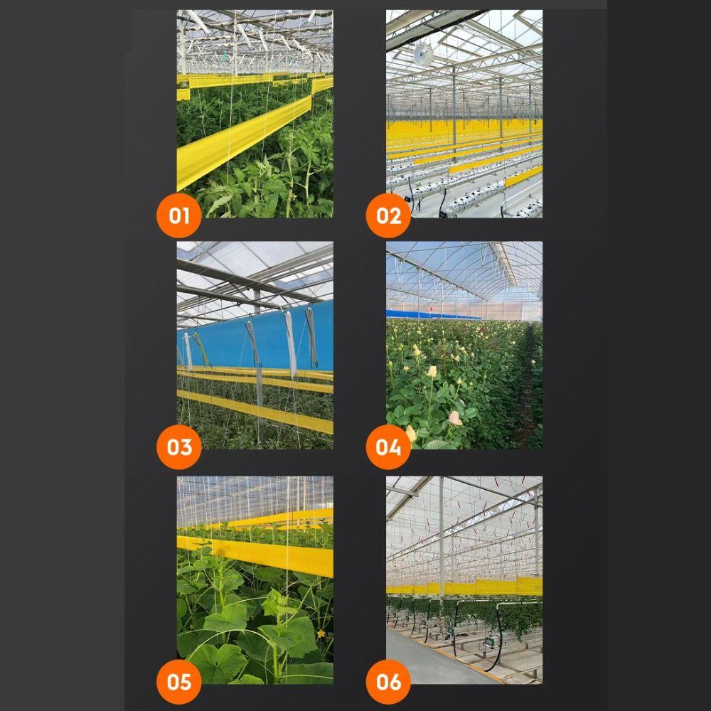 Yellow Insect Proof Tape 5/10M Crawling Insect Trap Prevents Insects Insect Barrier Tape  Gardens
