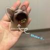 Fashion Greedy Cat Shaker Keyring Bag Charm Acrylic Pendant Keychains Car Keys Holder Handbag Decorations for Boys Girls