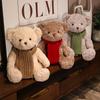 Cute Teddy Soft Bear Plush Toy For Room Decoration And Children Birthdays Gift