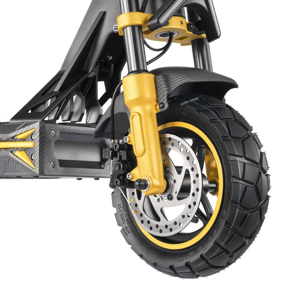TWOFISH V2 MAX Dospelácka Elektrická Kolobežka 800W Motor 48V 20AH Batéria Maximálne Zaťaženie 120KG Terénna Off-Road Commuting E-Kolobežka