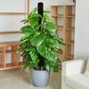 Ventilate Climbing Plant Stand Plastic Potted Plant Holder Plant Support Bracket  Indoor Plant Use