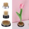 Insert Base Arrangeurs Floraux Grenouille Outils Fixes Support de Fleurs Japonais Épingle pour Composition Florale
