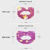 Children's Anti-Snoring Mouth Breathing Correction Patch - Certified Sleep Aid for Closed Mouth Breathing