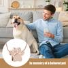 Pet Urn Necklace for Ash Paw Print Cremation Keepsake Mini Urn Pendant Memorial Ash Jewelry for Cat Dog Ash Hair Nails