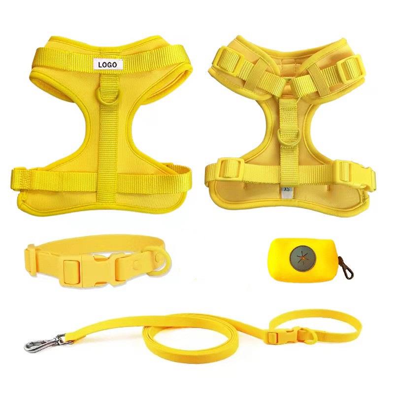 Macaron Color PVC Dog Collar & Leash Set - Soft & Comfortable