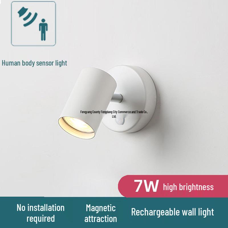 Rechargeable Motion-Activated Voice-Control Wall Spotlight