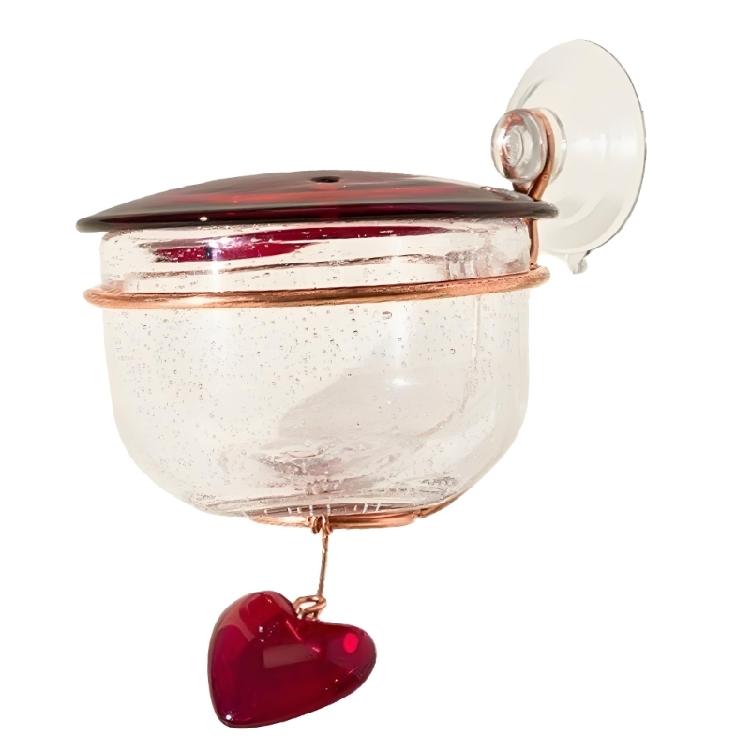 

Plastic Hummingbird Feeders Feeding Ports and Perches for Window Mount Decoration Bird Attractor 1