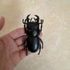 Biographical Analysis of Deer Antler Beetle plus Claw Shaped Insect Beetle Gacha Simulation Animal Movable Joints Figure Playthings