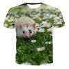Summer T-Shirts Animal Hedgehog 3D Print  Fashion Casual Boys Girls Children O-Neck Tops