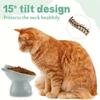 Upgraded Cat Bowl, Spill-proof Tilting Pet Feeder with Angled Neck Protection for Cats and Dogs