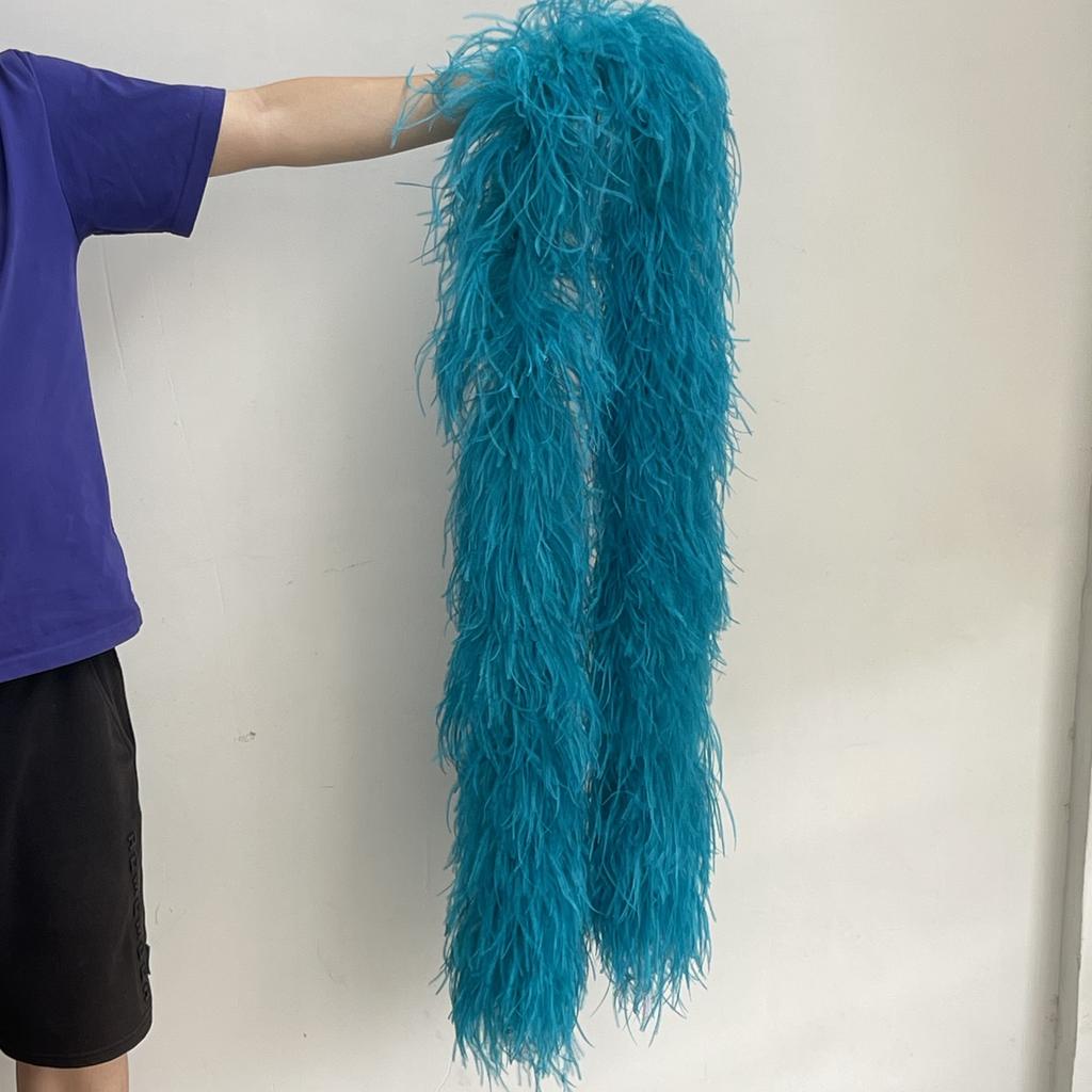 2M Red Ostrich Feathers Boa 1-10Ply Thick Natural Feather Shawl for Wedding Clothing Decoration Sewing Plumes Crafts Accessory