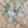 Polyester Lace Star Hollow Women's Wedding & Formal Dresses Fabric