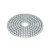 10 Piece Set Diamond Polishing Pads 4 Inch Wet/Dry Granite Stone Concrete Marble