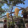 Large Crochet Wasp Nest Decoy Garden Hanging Fake Bee Hornet Hive Wasp Deterrent