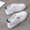 White Shoes Women's Shoes New Spring and Autumn Sports Board Shoes Women's Super Popular White Versatile Casual Shoes