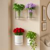 Self-Adhesive Wall Mounted Planter Plastic Wall Hanging Vase Hydroponic Wall Planter  For Home