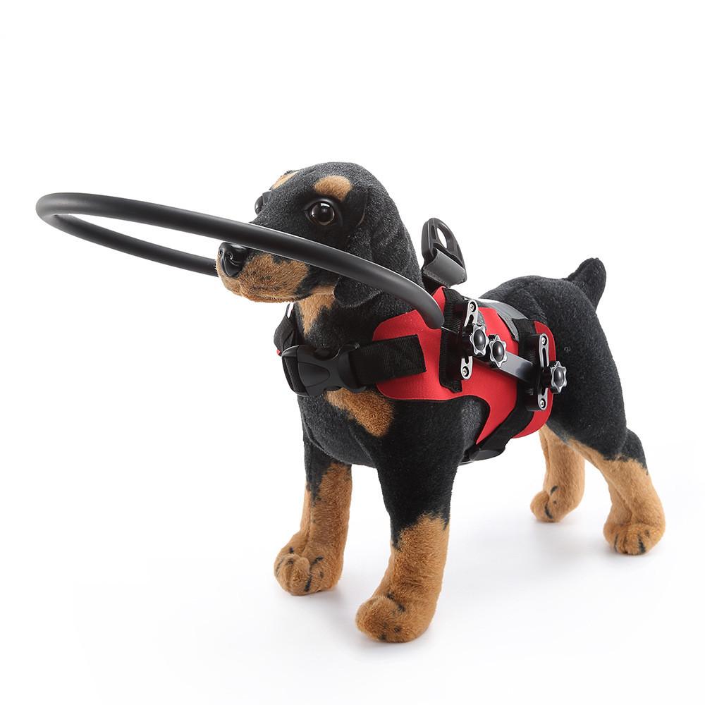 Sicherheitskragen für blinde Hunde mit stoßfestem Design für die Pflege älterer Hunde