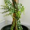 Artificial Plant Artificial Tree 3 Boxwood Balls with Cement Pot, Indoor and Outdoor, Height 115 Cm
