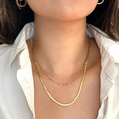 Damen Ins Mode Geschichtete Edelstahl Choker Farbechtes Einfaches Flaches Schlangenkette Doppel-Lagen Halskette Für Damen