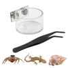 Springspinnen Futter Napf Wasser Futter Spender Set Mit Pinzette Für Einsiedler Kleine Reptilien Terrarium Dekor