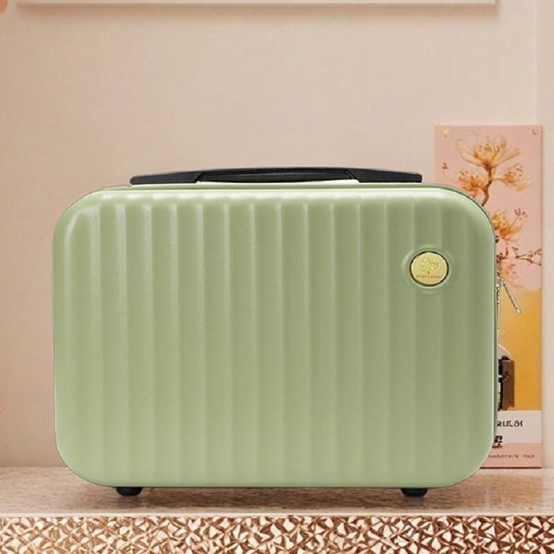 Mini Carry-on Cosmetic Travel Case 31x14x23 cm