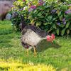 Chicken Garden Stakes Acrylic Yard Signs Outdoor Sculpture Statue Potted Plant Ornaments Garden Insert Yard Lawn Decor