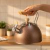 Stovetop Kettle Sturdy for Coffee Making