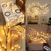Led String Light Pvc Material Indoor Decor For Bedroom And Living Room Ambiance
