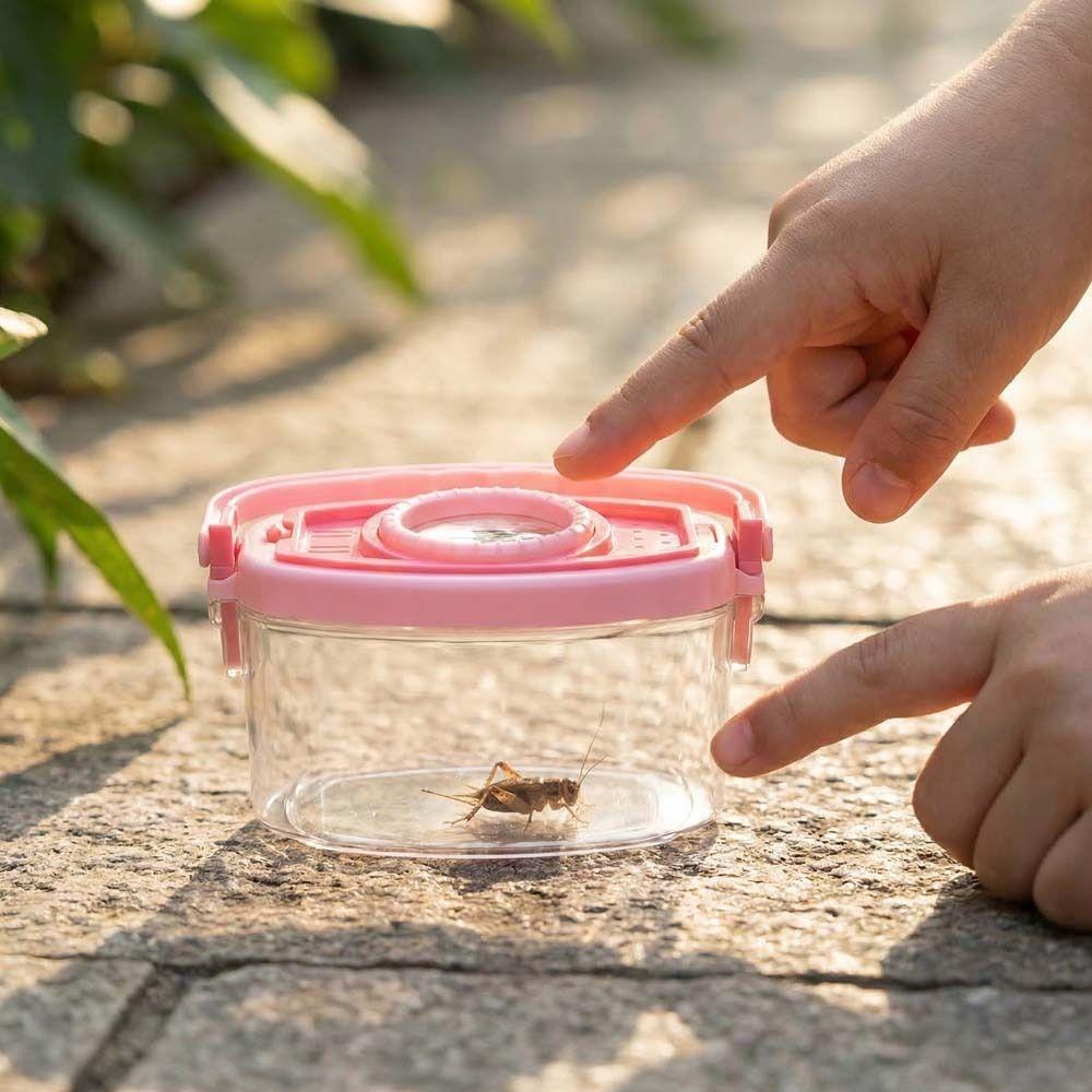 Male Jar Outdoor Adventure Set Tweezers Insect Cage Collector  Male And Female