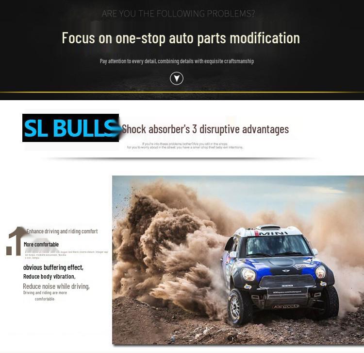 Rich 7 Adjustable Nitrogen Shock Absorber & 2-Inch Lift Kit