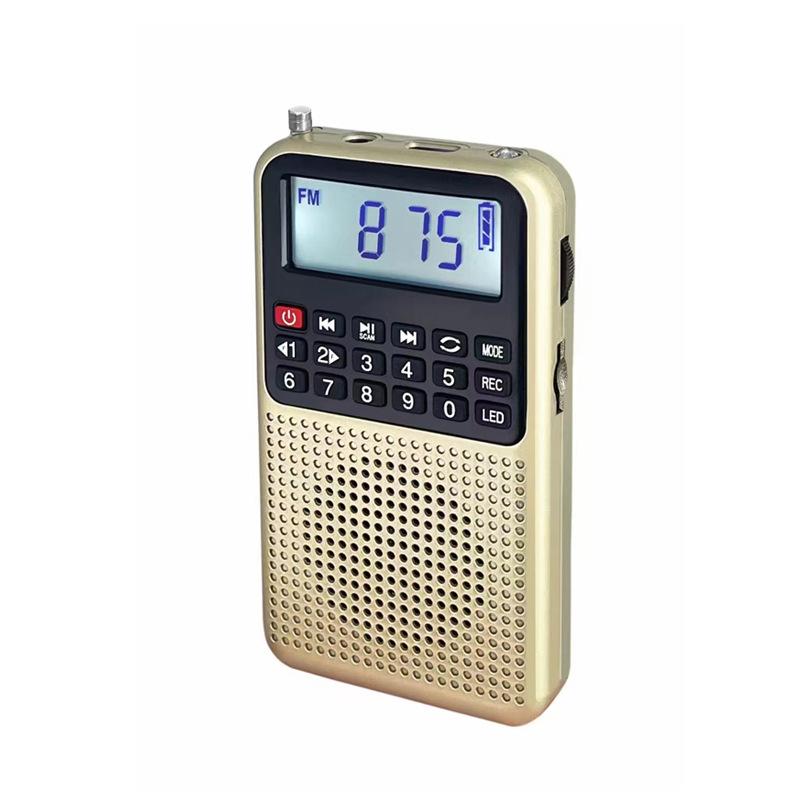 Mini-Taschen-UKW-Radio Hohe Empfindlichkeit Radioempfänger Tragbarer Bluetooth-Lautsprecher Rekorder mit LED-Licht Unterstützung für TF-Karte Headset