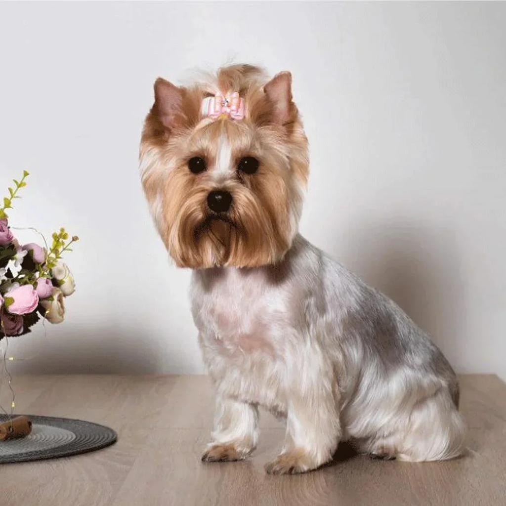 Cute Pet Dog Bow Hair Accessories 10PCS Random Color Puppy Bows Headwear for Small Dogs Pet Gifts