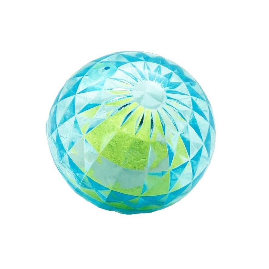 Haustier-Sprachaktiviertes Gummi-Spielzeug mit Leuchte für kleine Hunde zum Spielen im Freien