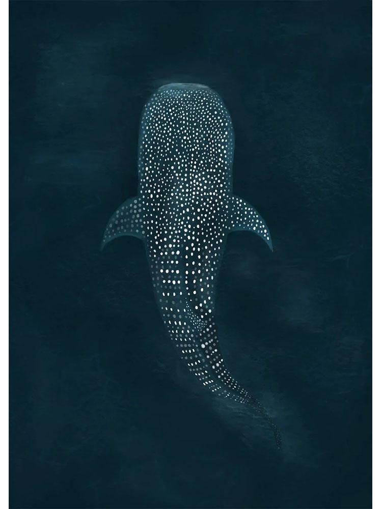 

Скандинавские океанские гиганты, китовая акула, постеры, холст, картина, морская жизнь, настенный художественный принт для гостиной, домашний декор, подарок, Cuadros 30x40cm No Frame