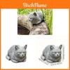 Figurina di Gatto in Resina Gatto Carino Addormentato Decorazione da Giardino Regalo per Amanti degli Animali