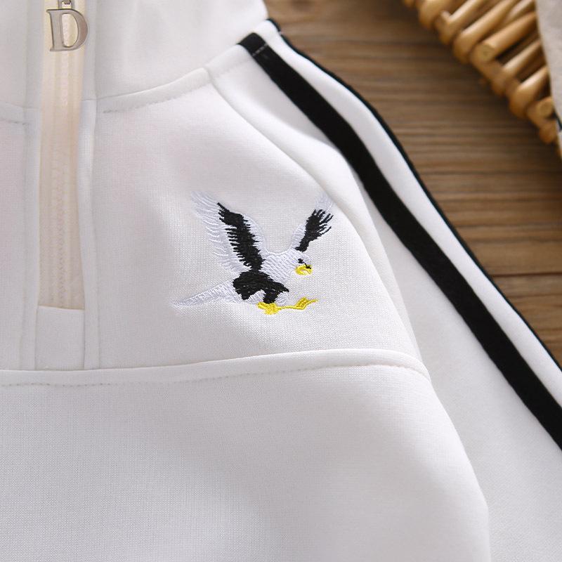 Boys' Trendy Two-Piece Autumn Set: Long Sleeve, Stand-up Collar, Zip-Up Pullover