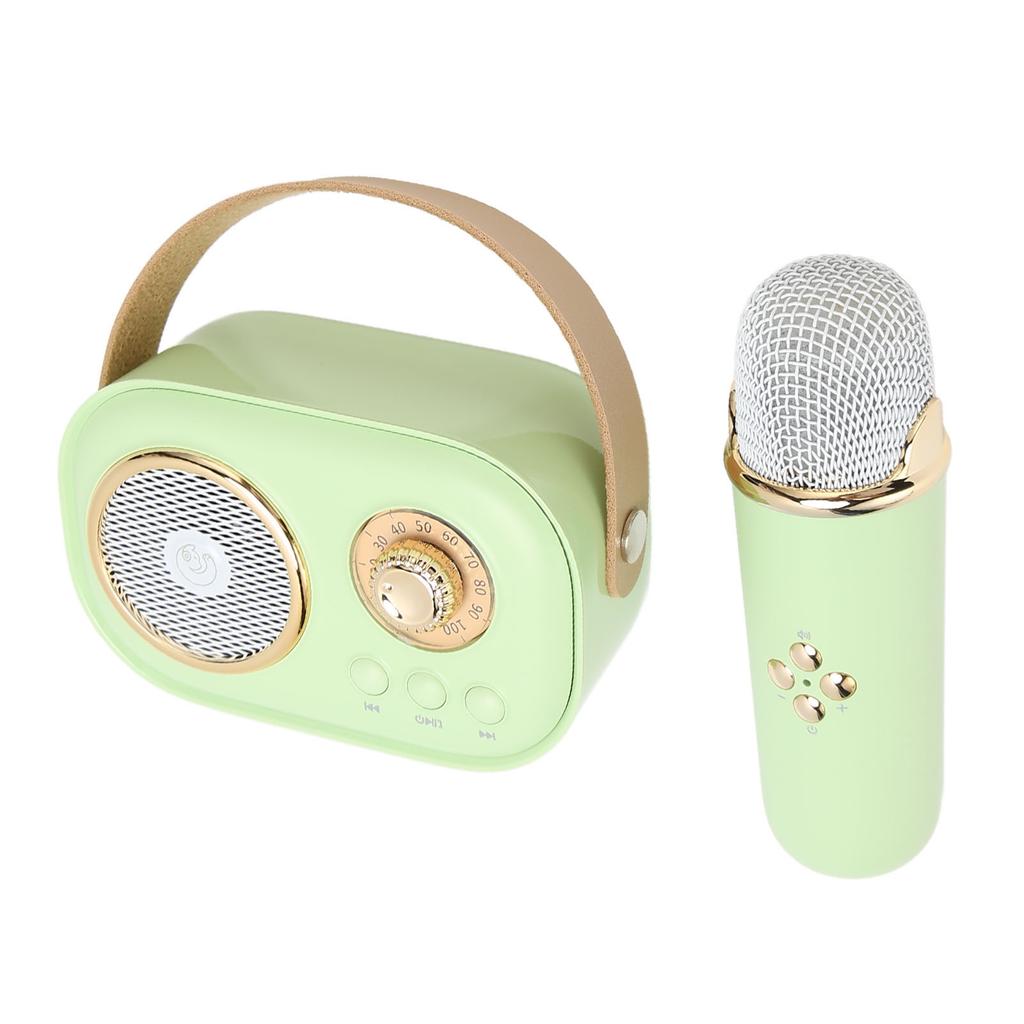 Wireless Bluetooth Speaker with Microphone Portable Rechargeable Mini Mics Speaker Set for Home