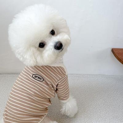 Bekleidung & Schuhe – Westen & Hemden für Hunde