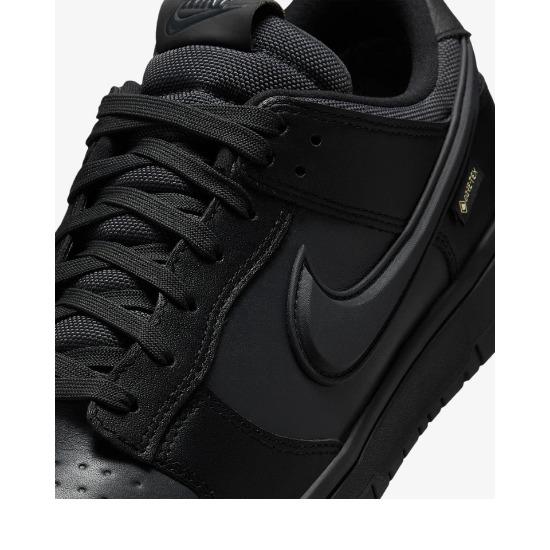 Nike Dunk Low GORE-TEX Black/Anthracite HQ2053-001 Men's Size