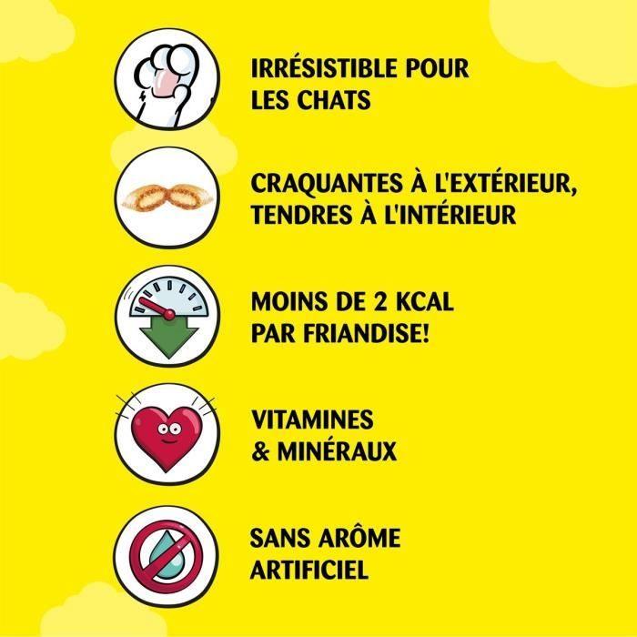 CATISFACTIONS Friandises au saumon pour chat et chaton 6x60g