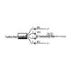 PN7160 PN2093 PN3092 ifm Pressure Sensor with Display - Brand New Original Inquiry