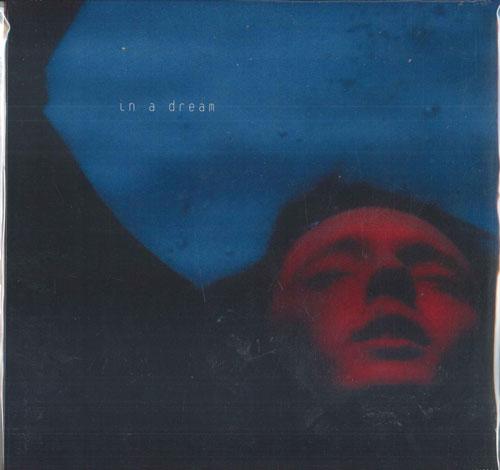 

LP Record TROYE SIVAN - In A Dream (Dark Blue Black Splatte DR3AM05 Capitol Records 2020 US Pop