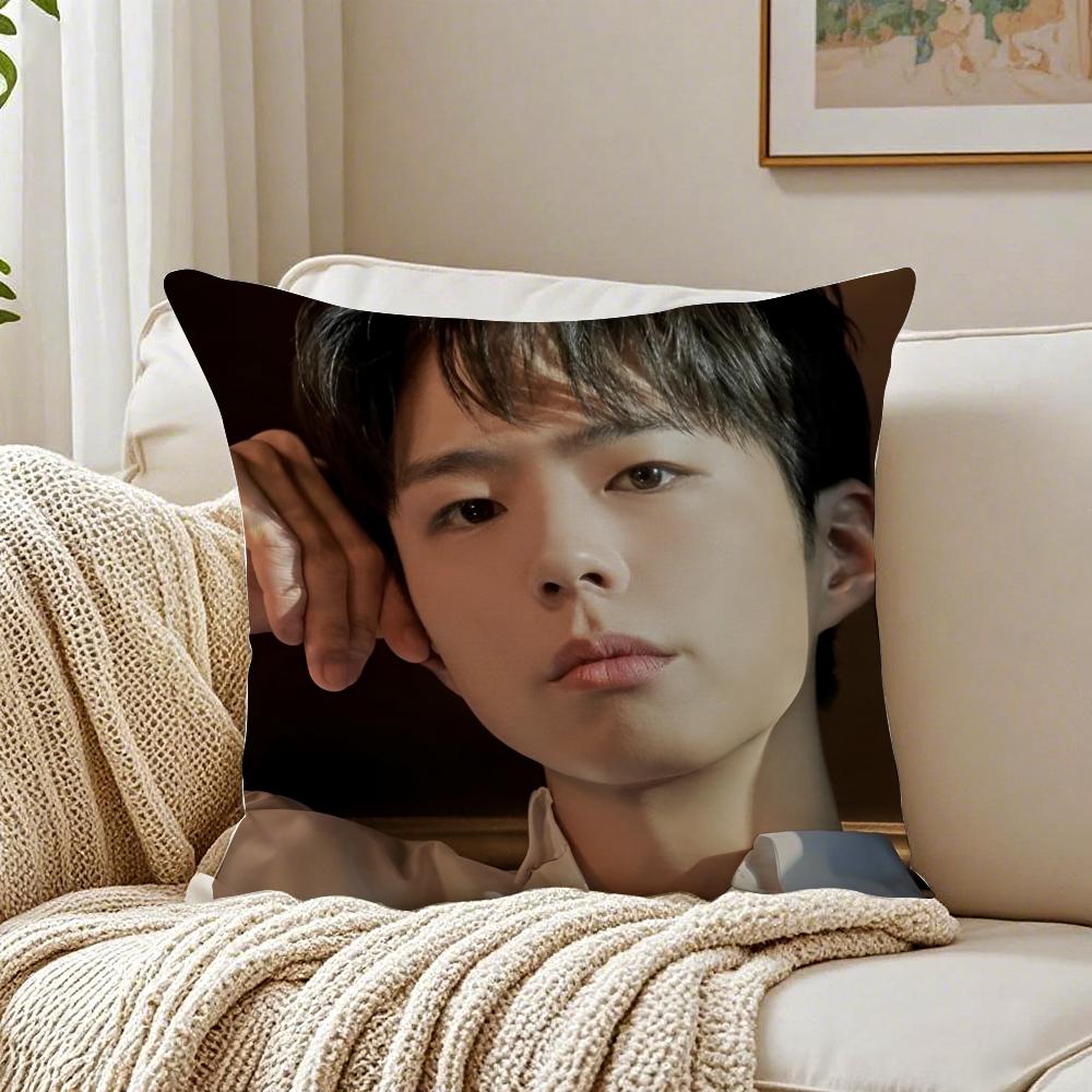 Park Bo gum Cushion Cover Linen Minimalist Soft for Sofa Bed Home Room Decor 30x30cm