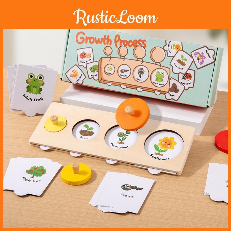 Growth Cycle Montessori Puzzle Wooden Educational Toy For Preschool Learning