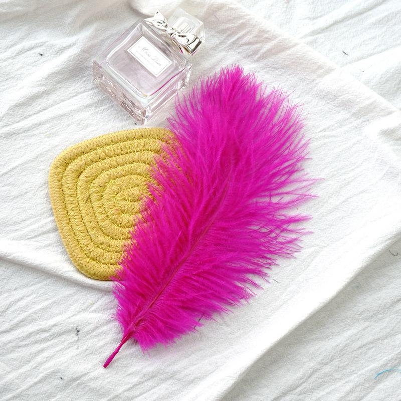 22-Color Ostrich Fur Big Feathers Wedding Background Wall Decorative Wall White Pink Feather Flower Arrangement 20-25Cm