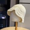 Retro Knitted Wool Hat Women's Autumn and Winter New Washbasin Hat Fashion Warm Casual Wind Age-reducing Knitted Hat Tide